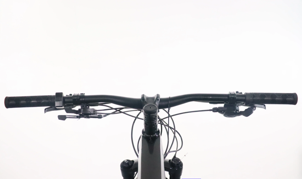 Trek E-Caliber 9.6   Año 2022